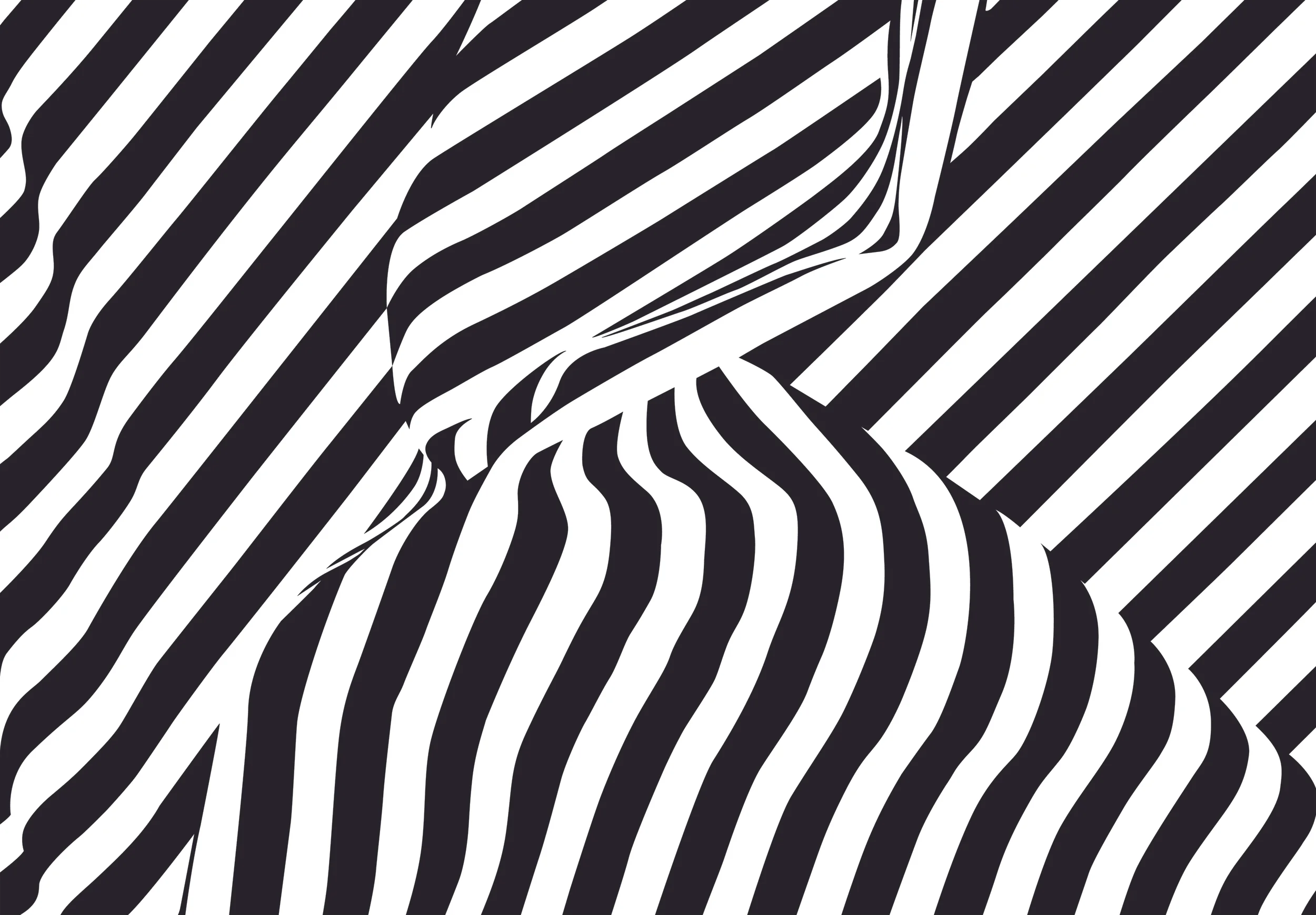 Monochrome print of a striped fabric
