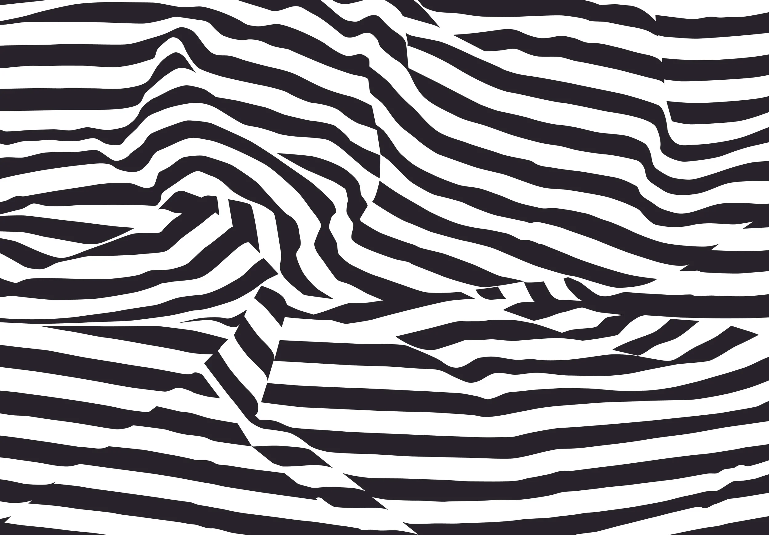 Monochrome print of a striped fabric