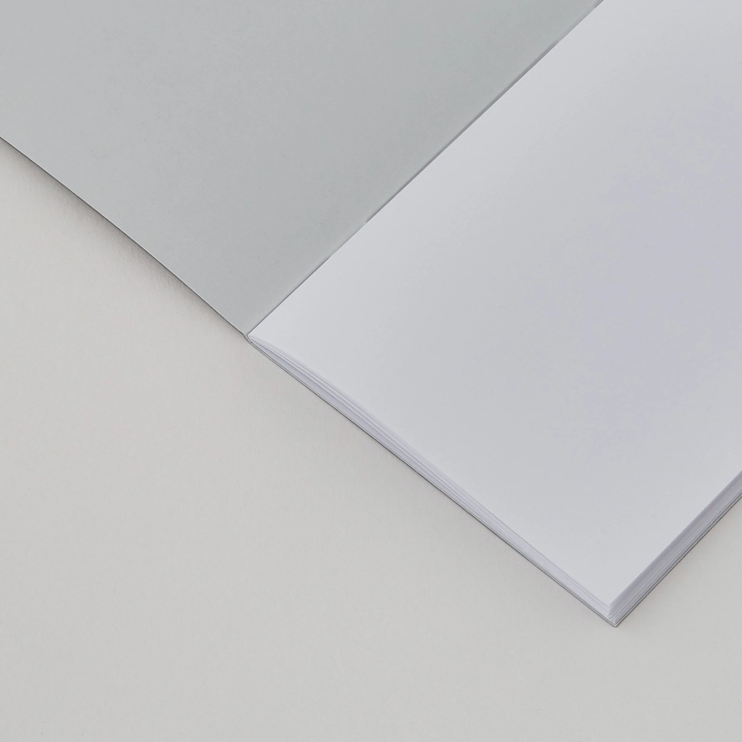 Above-and-Beyond-Clean-sheet-Notebook_open-detail.jpg