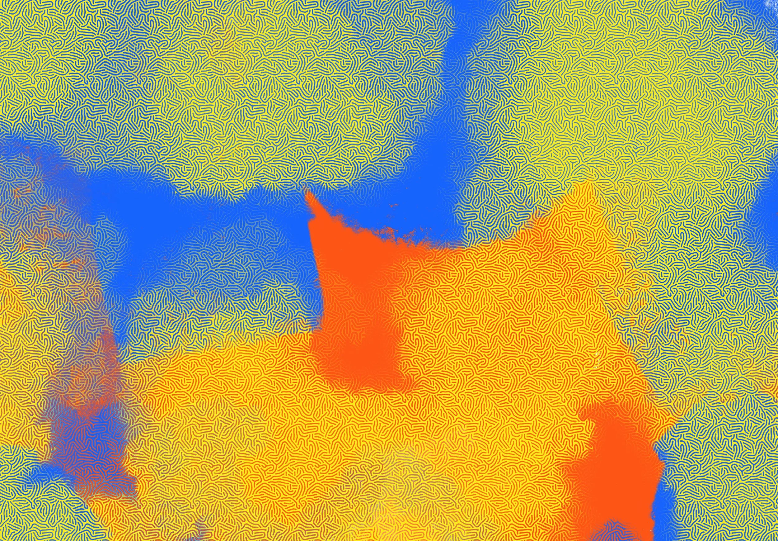 Red and Blue 2 copy.jpg