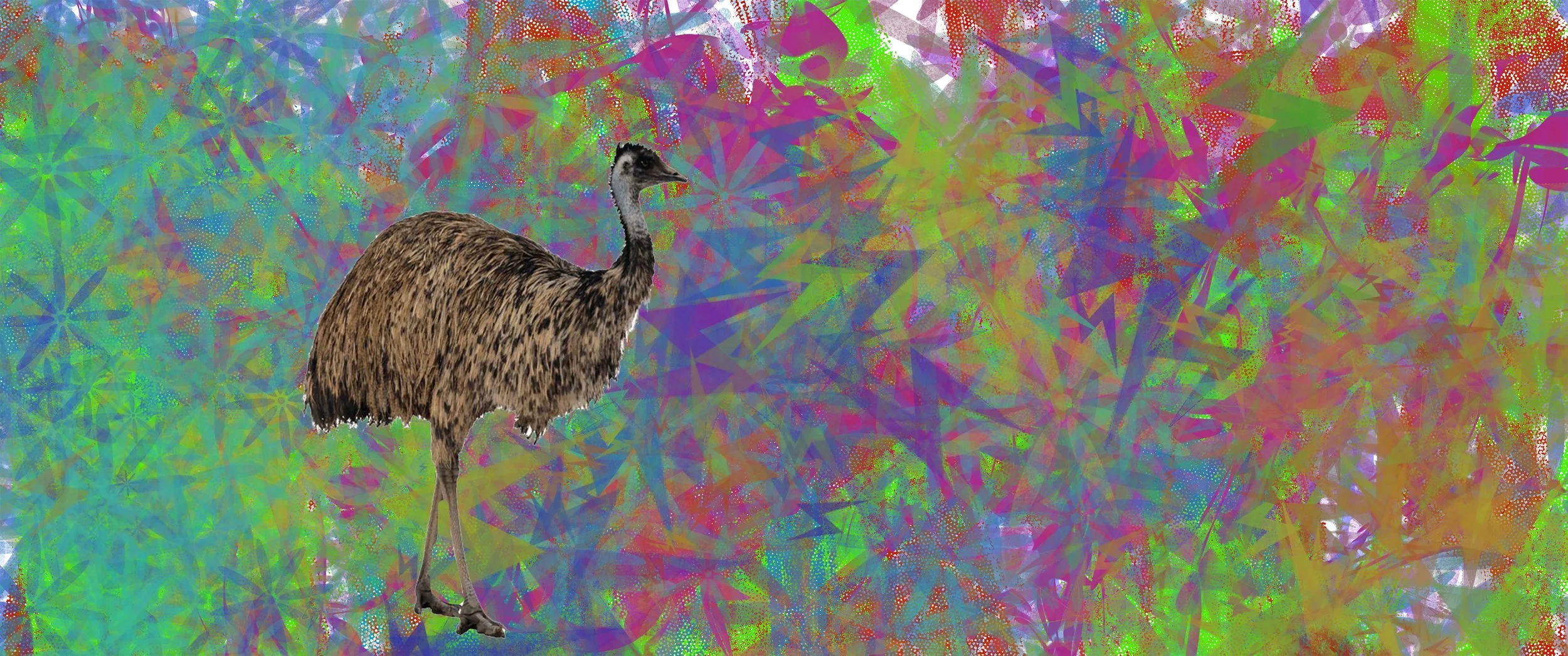 Emu copy.jpg
