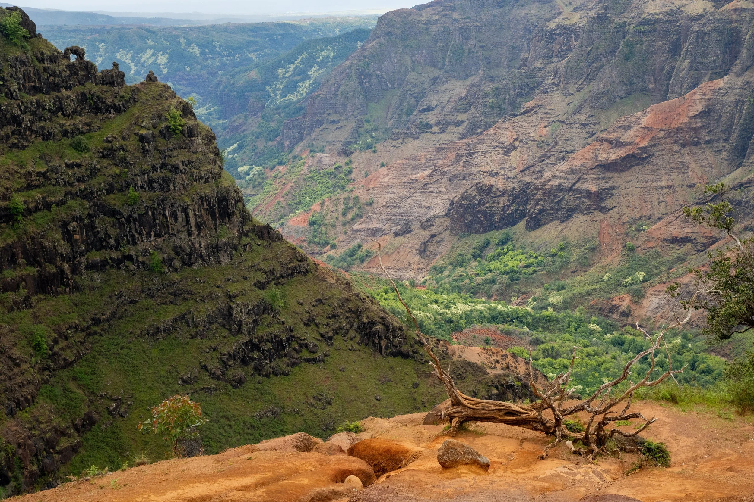 Deadwood Waimea Canyon (for website).jpg