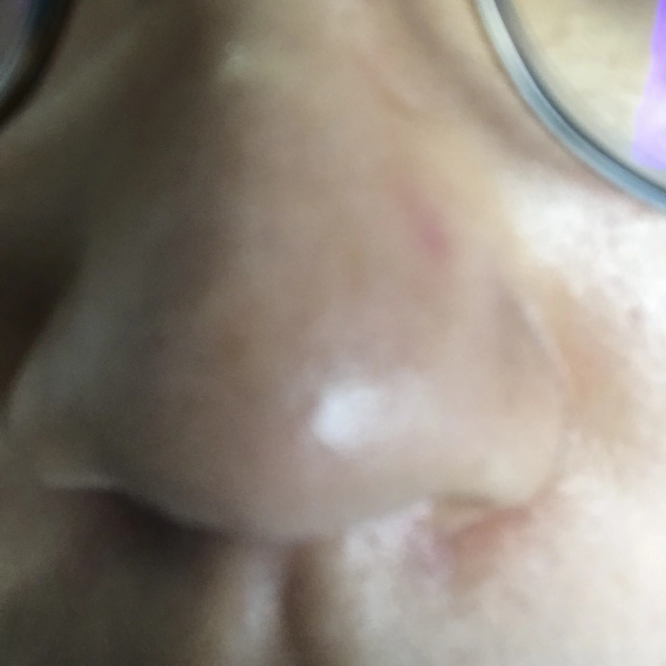 IMG_0573.jpeg