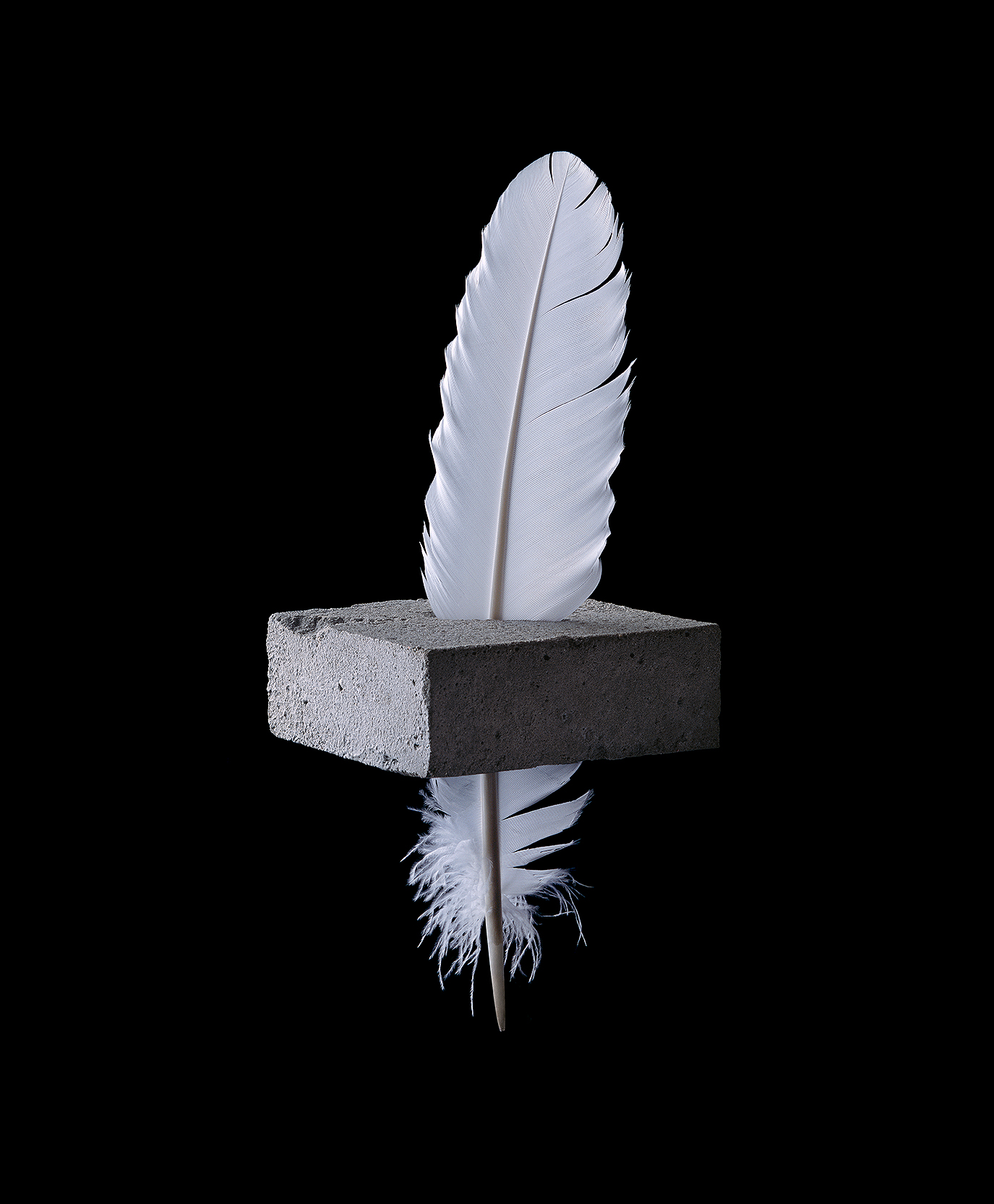 FeatherBlock-domlee.jpg