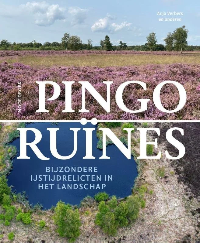 pingo.jpg