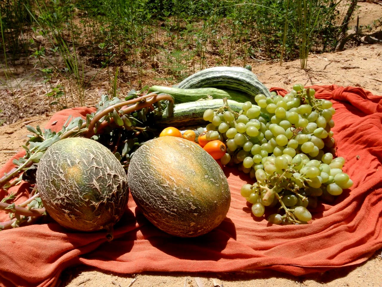 Organic fruits