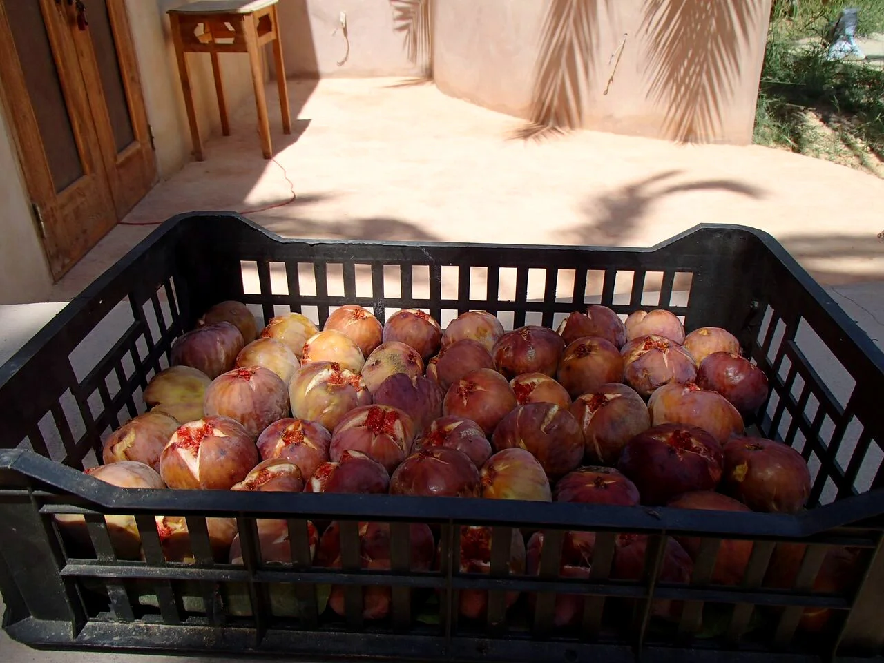 Organic figs