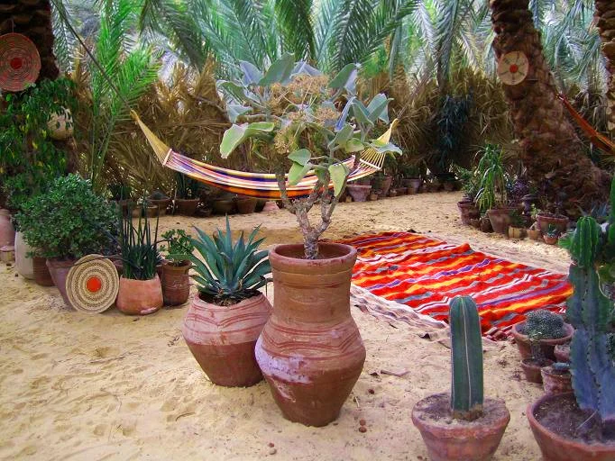 Desert garden