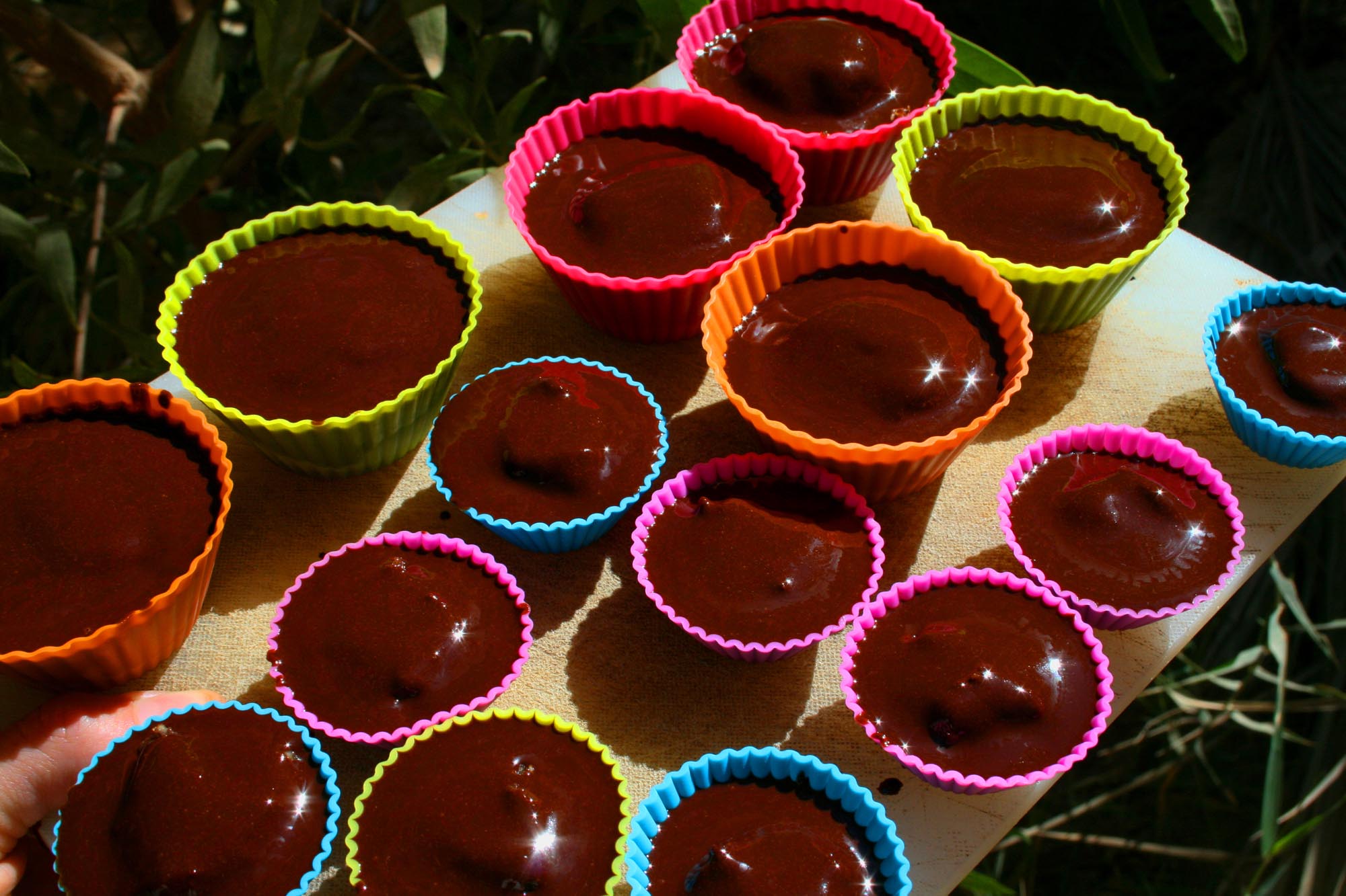 Organic peanut butter cups with raw chocolate