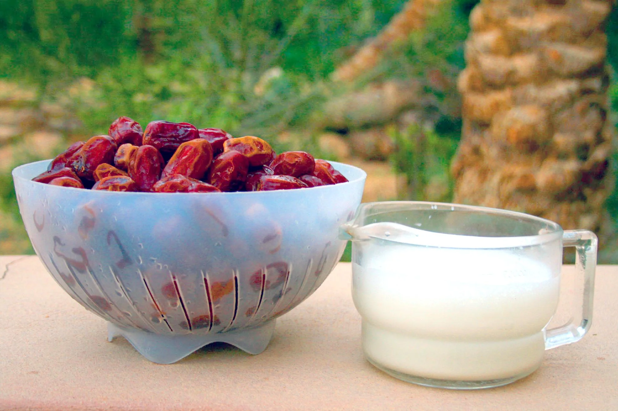 Dates and fresh goats milk
