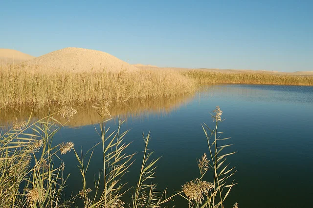 Bir Wahed Siwa Oasis