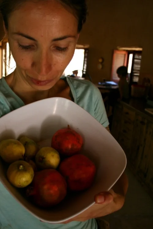 Pomegranates and guava from our garden