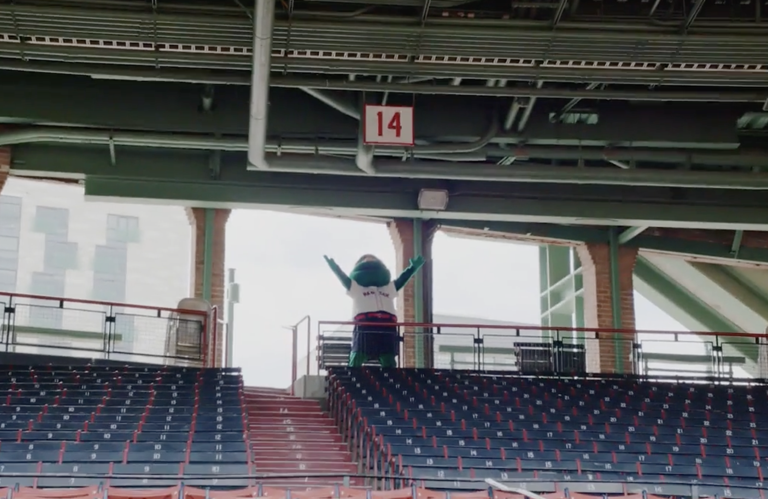 fenway.png
