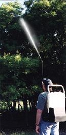 SPRAYING trees