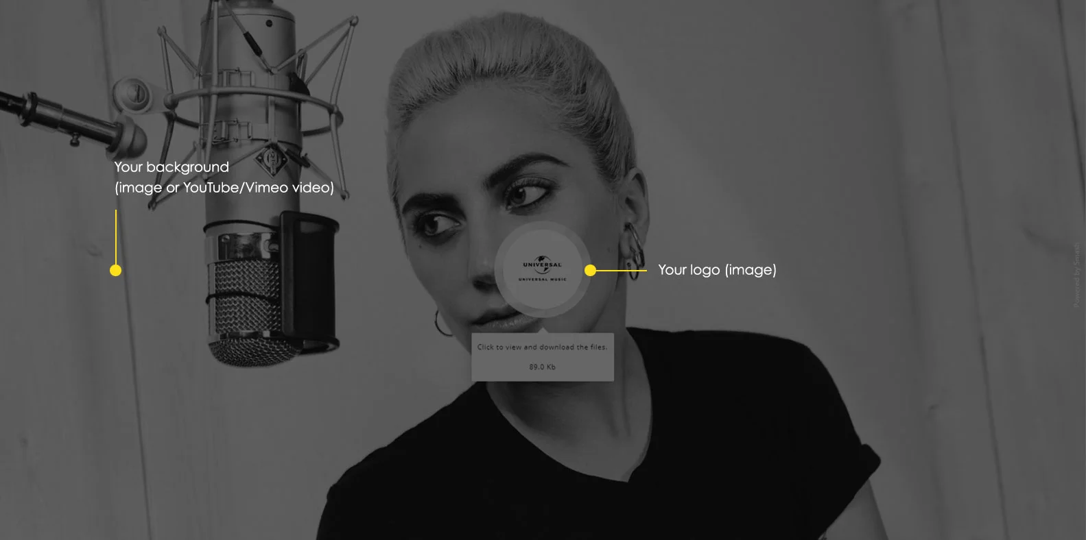 Lady_Gaga_Smash_2.jpg