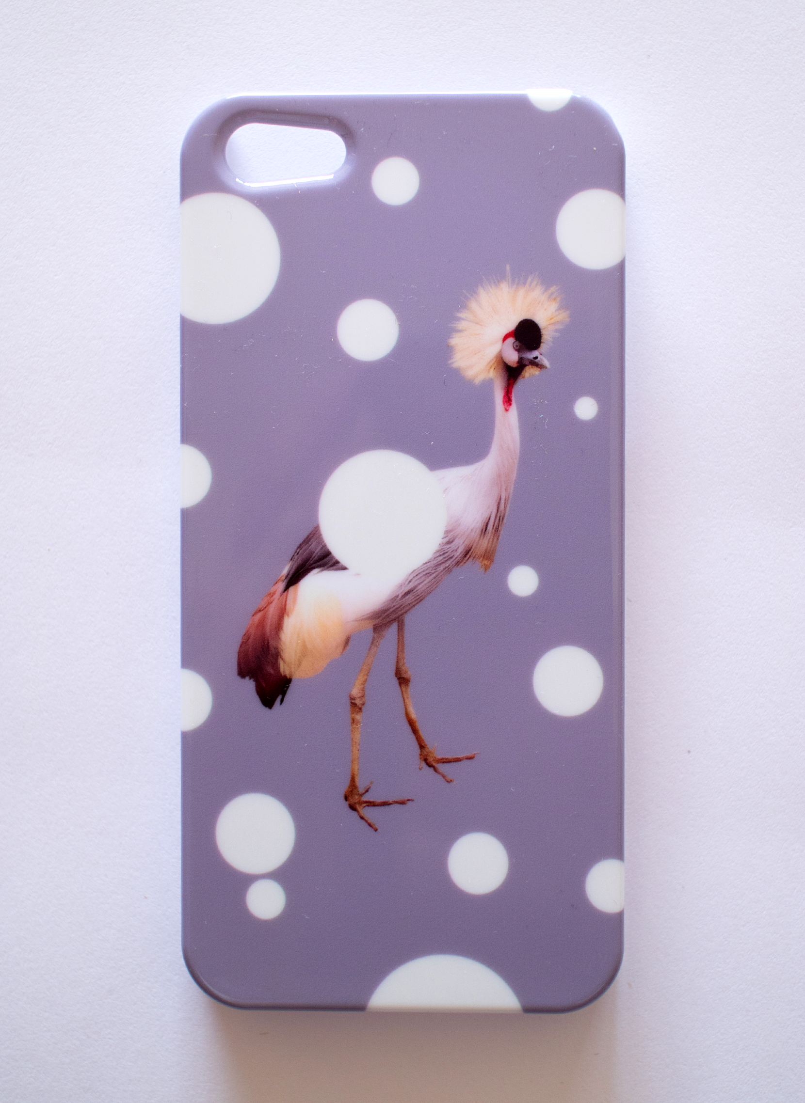 Quirky Crown Bird