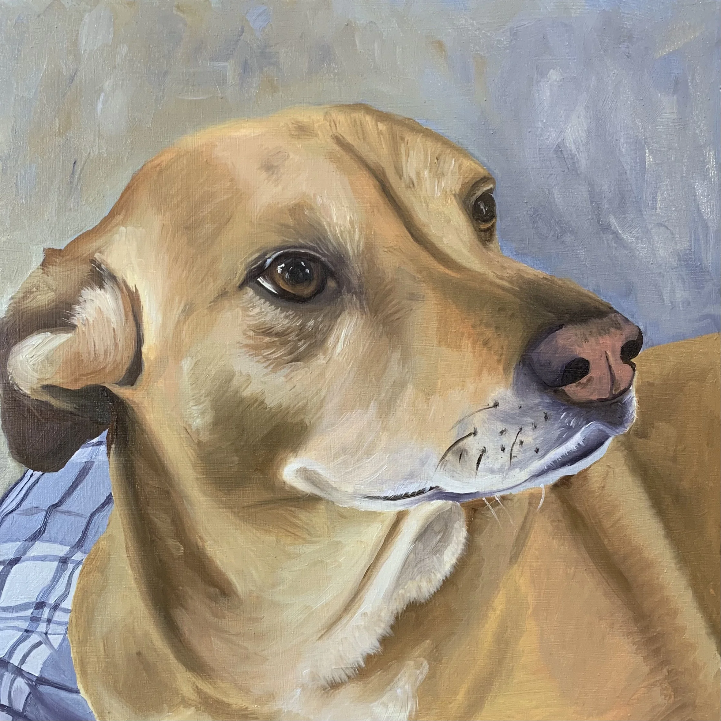 Joey - Oil
