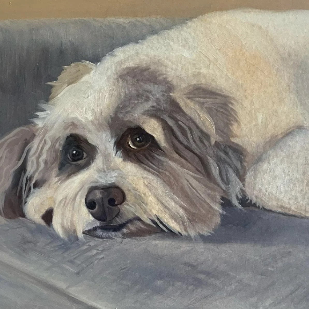 Cozy Dog - Oil