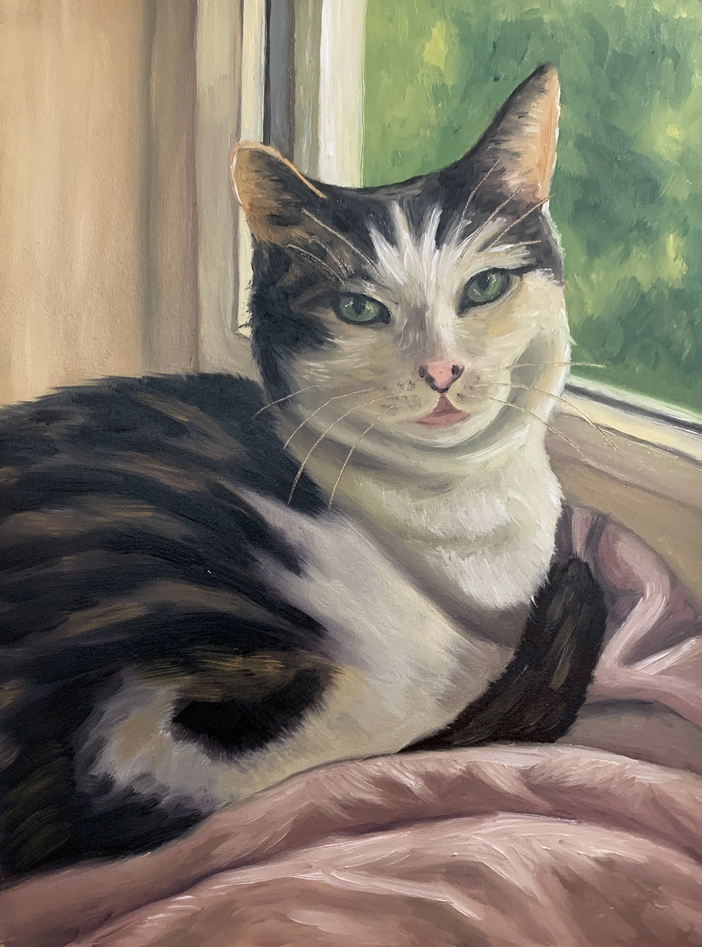Julia's other cat FINAL.JPG
