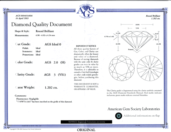 Example AGS Report