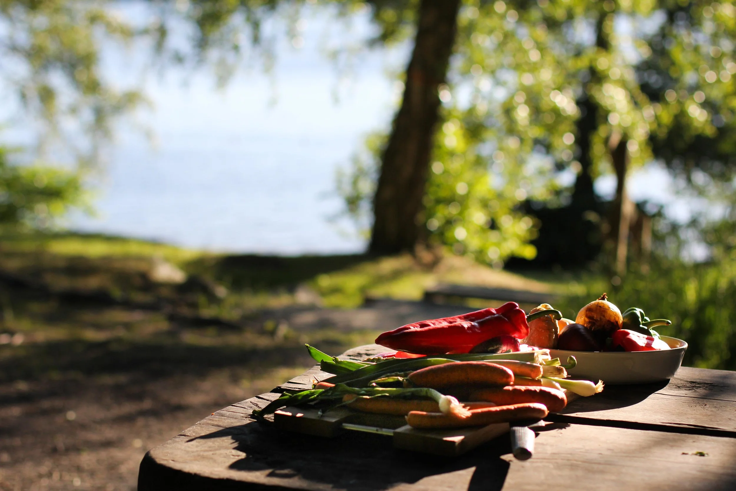 Härlig grilltallrik