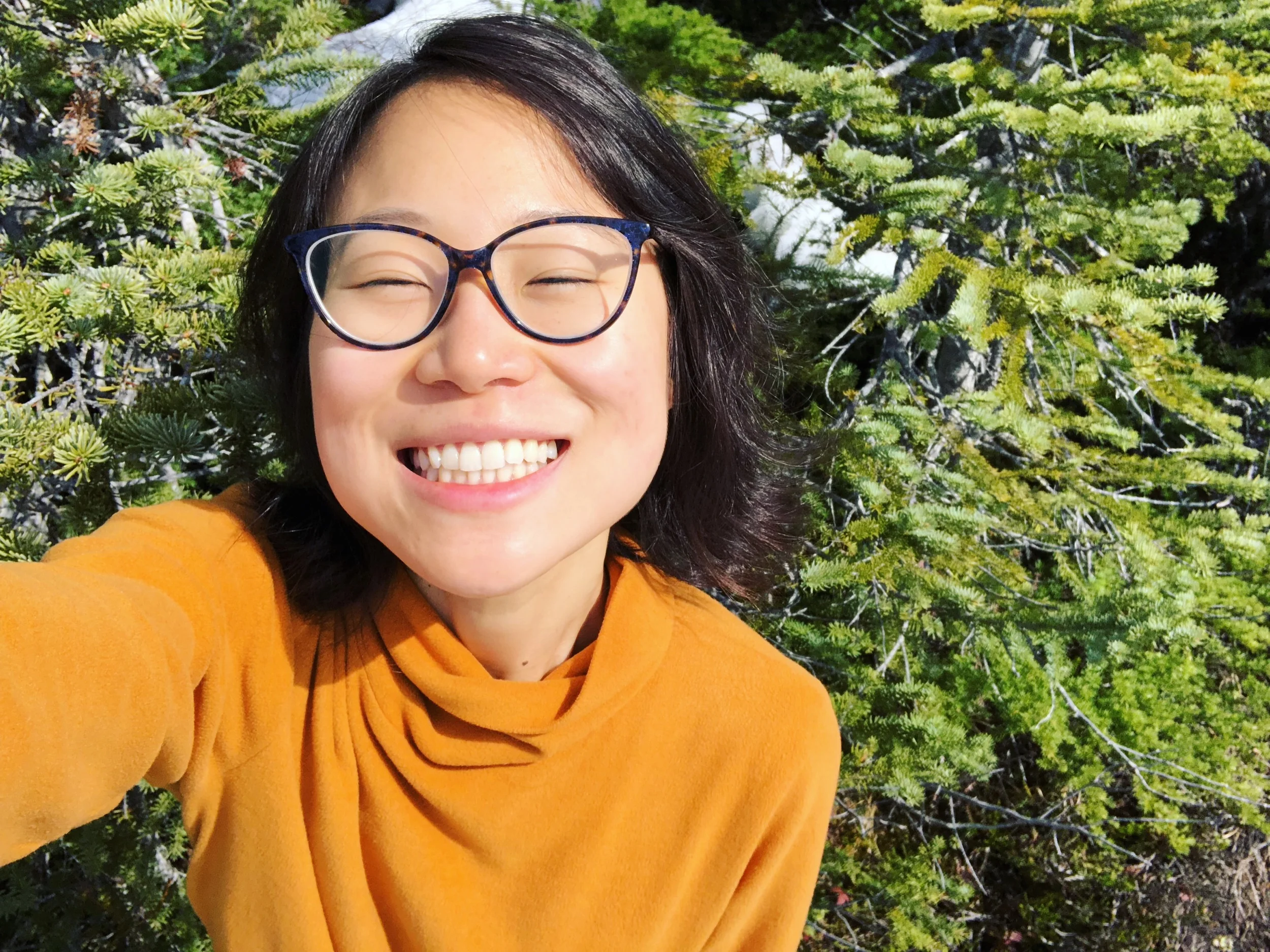 Updates: Summer and Fall 2019