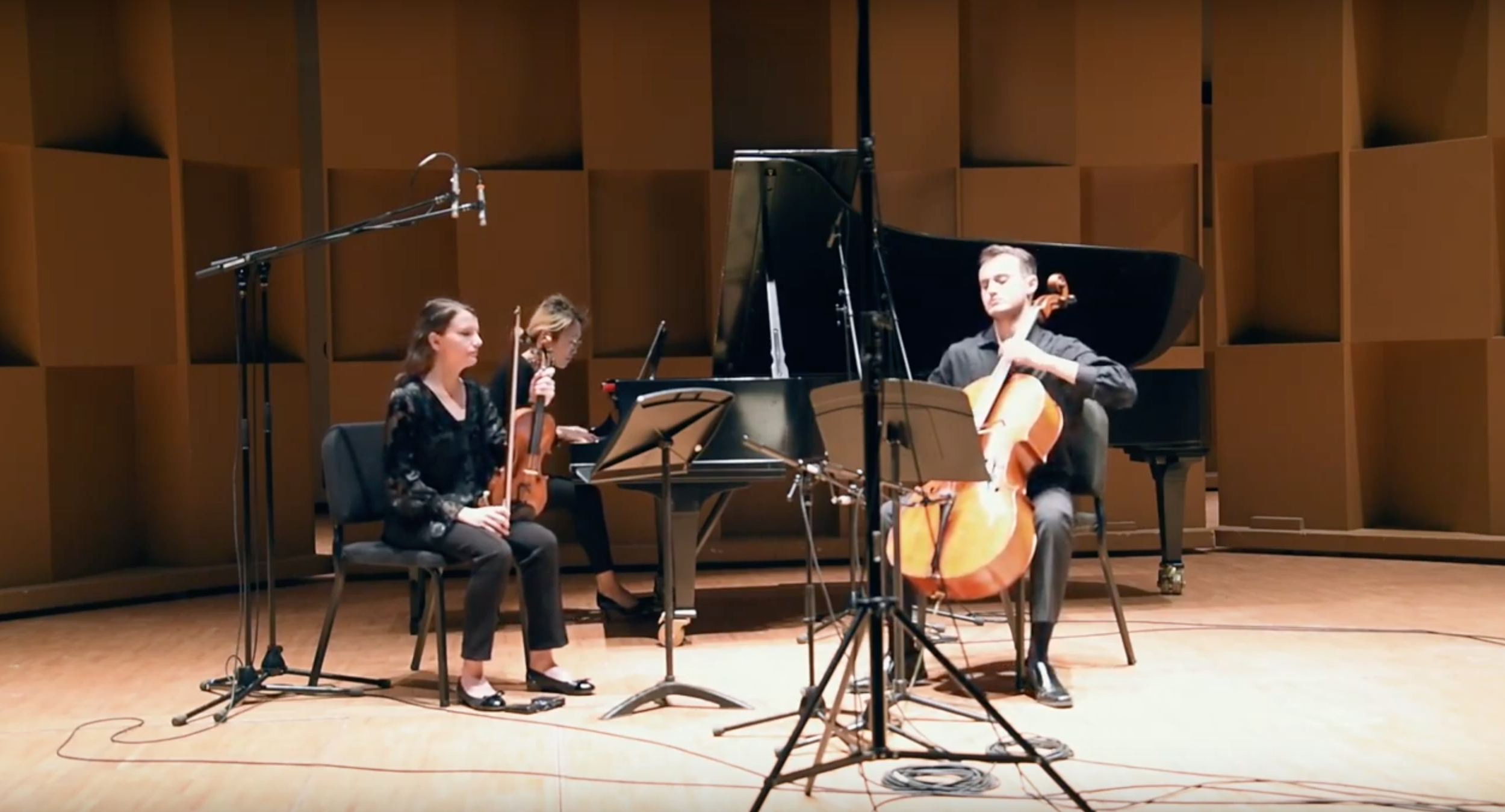 Mendelssohn Piano Trio No. 1 in D minor, Op. 49