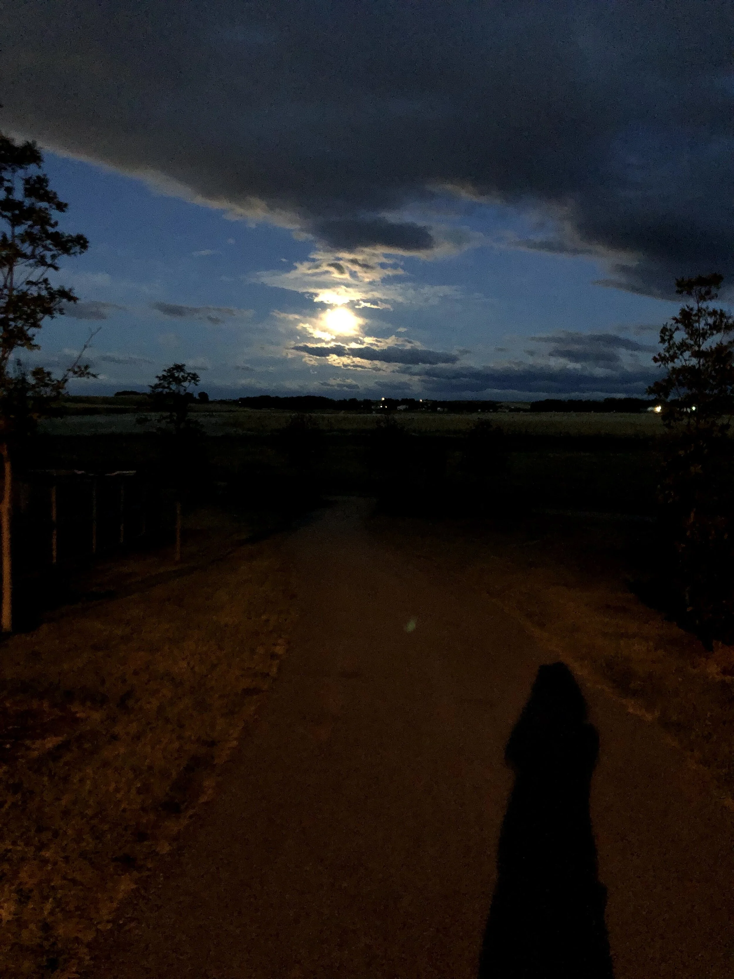 Emerging from COVID hibernation 