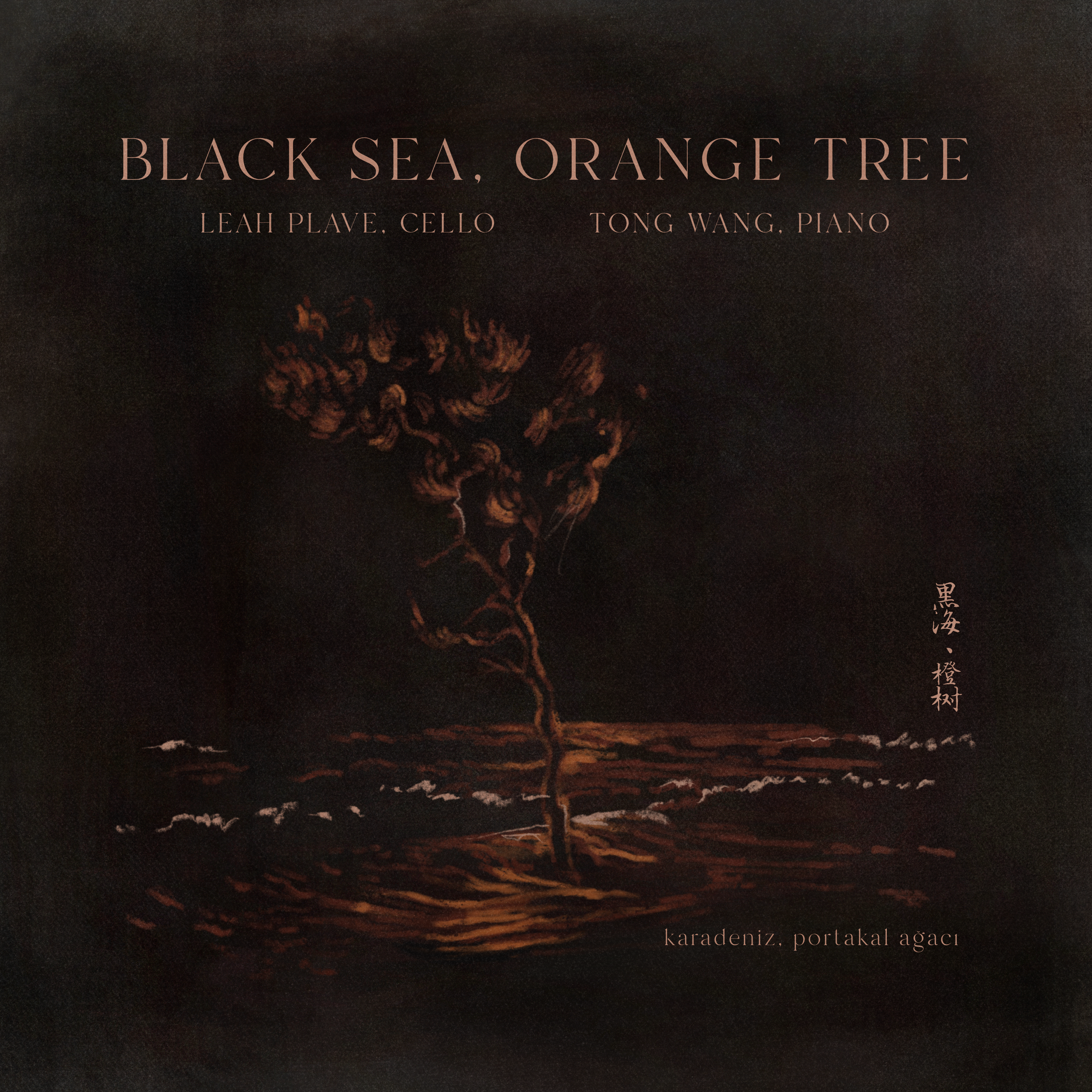 "black sea, orange tree" album release!