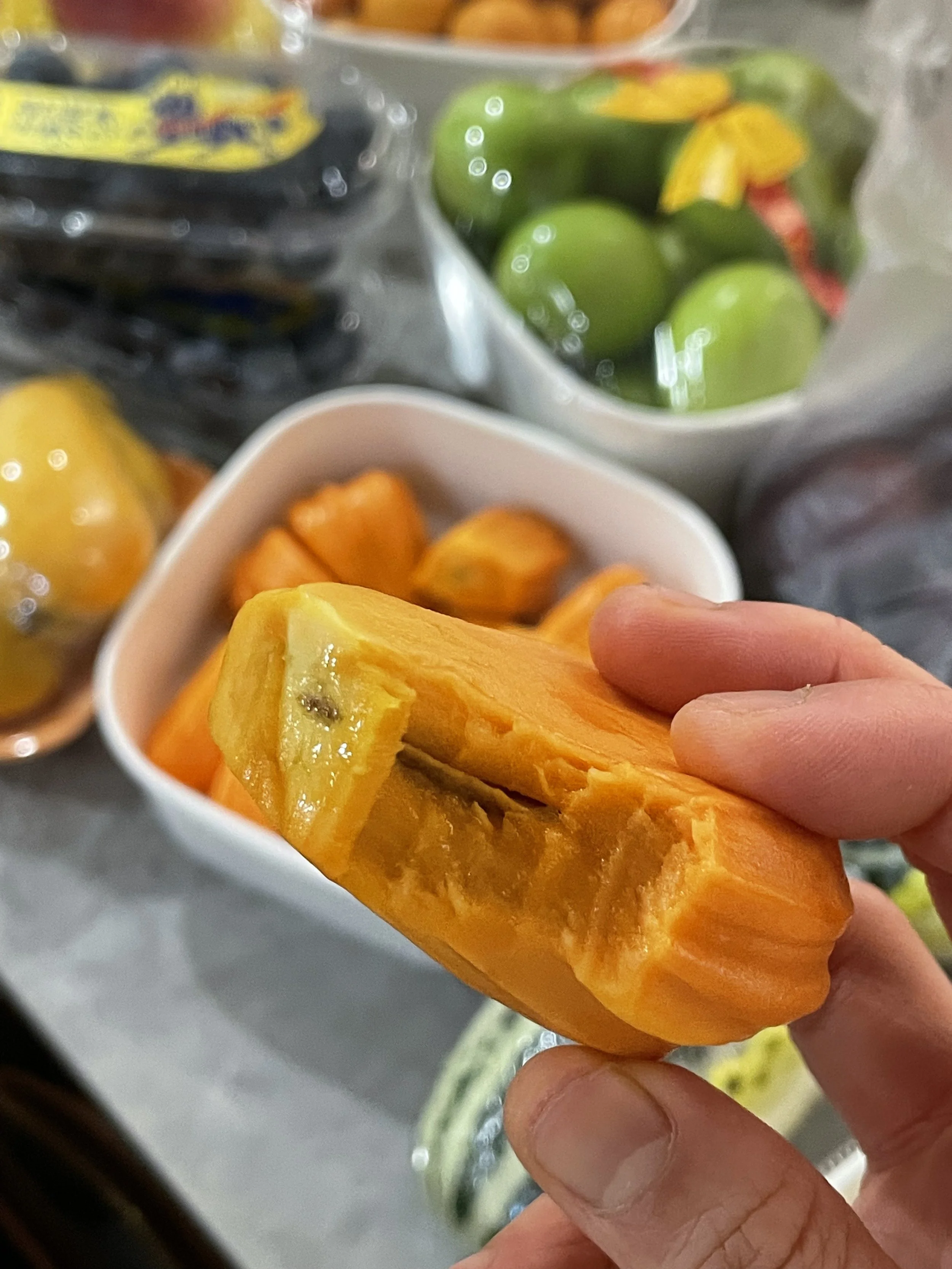 IMG_4747.jpg