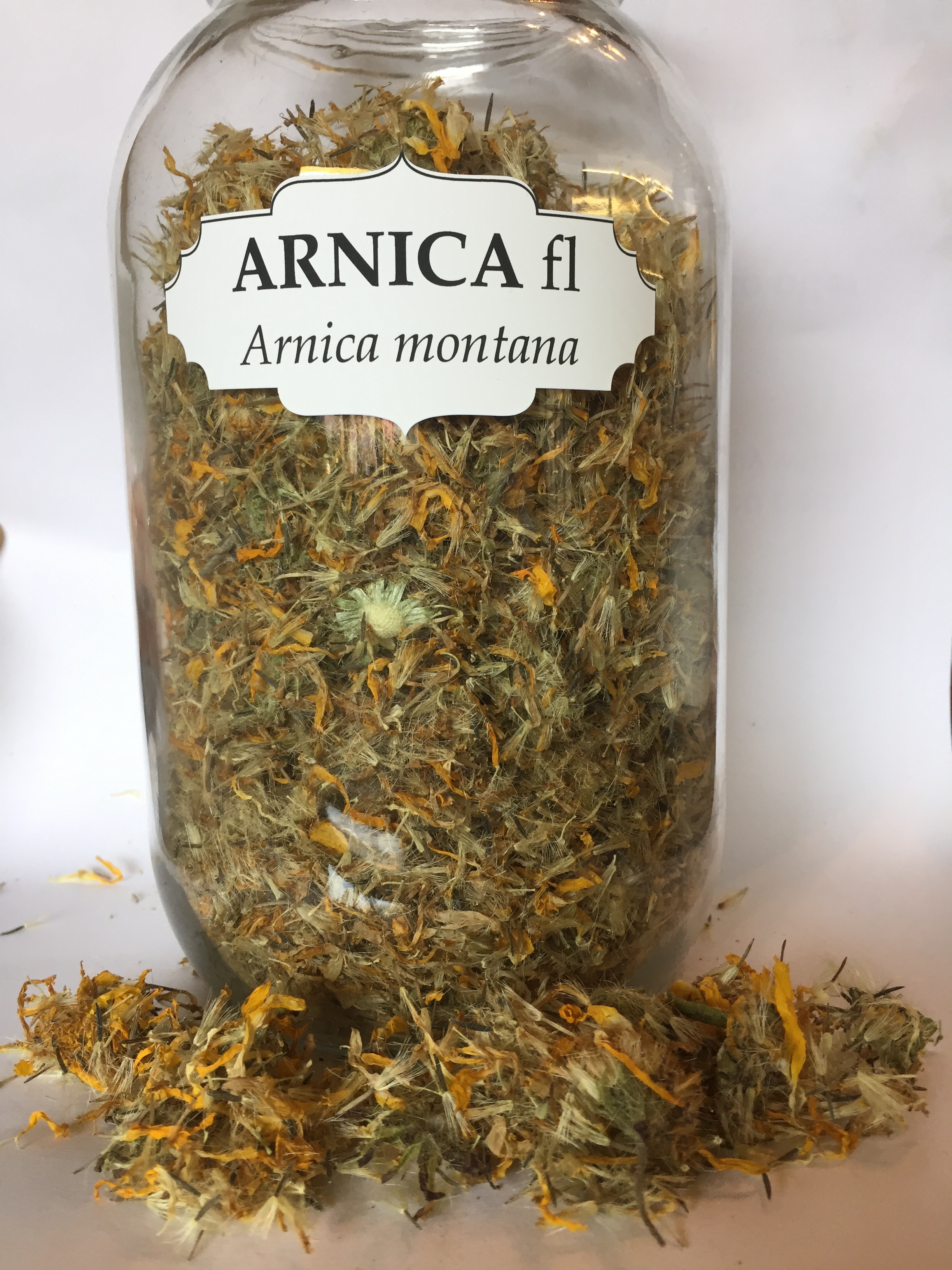 Arnica WC.JPG