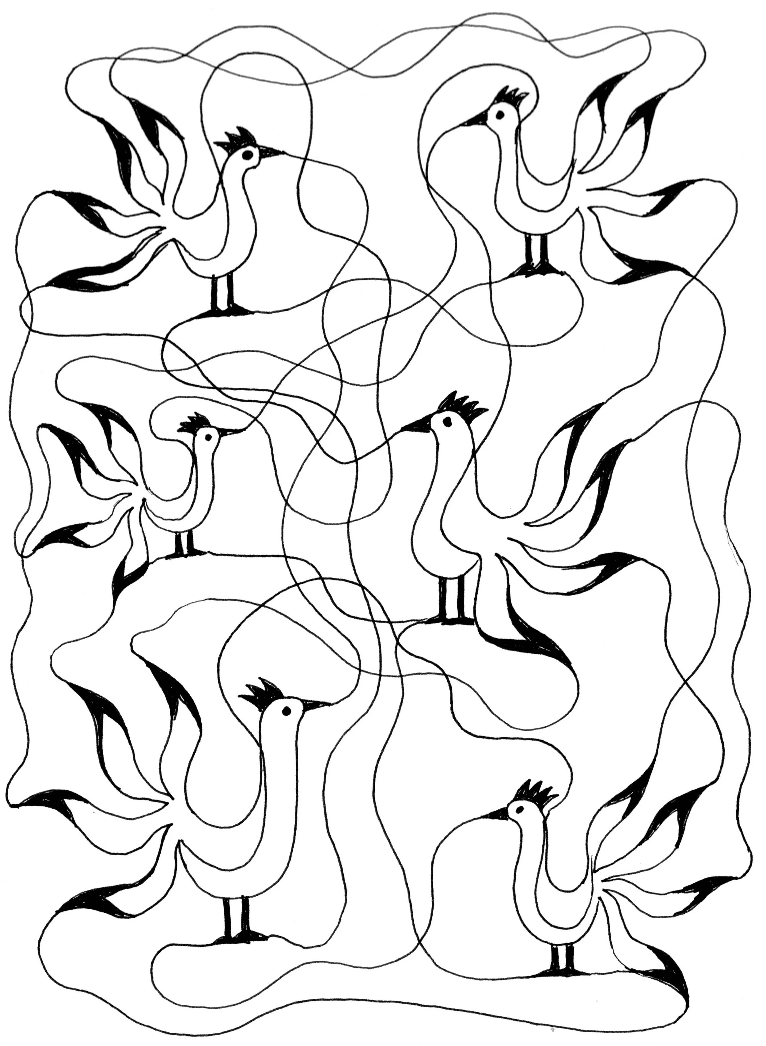 birdy_wave2_w.jpg