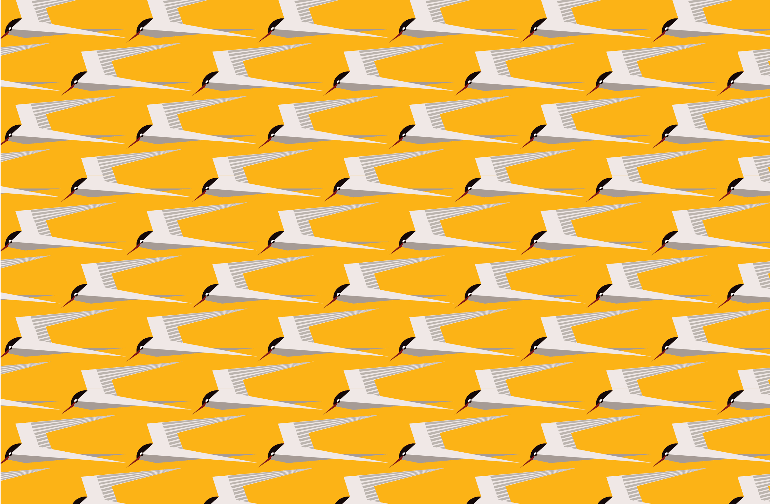 Tern - Sun