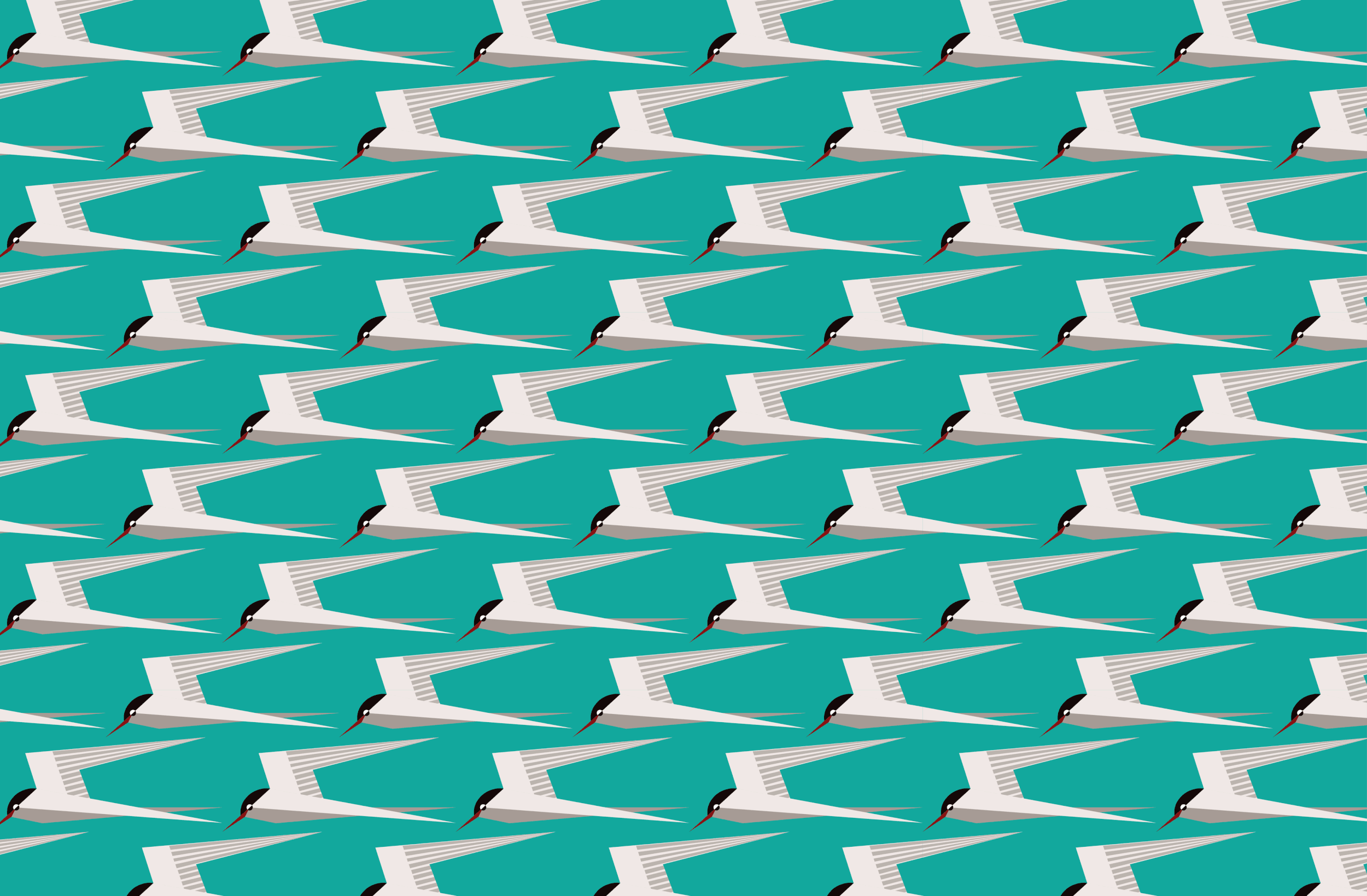 Tern - Sea