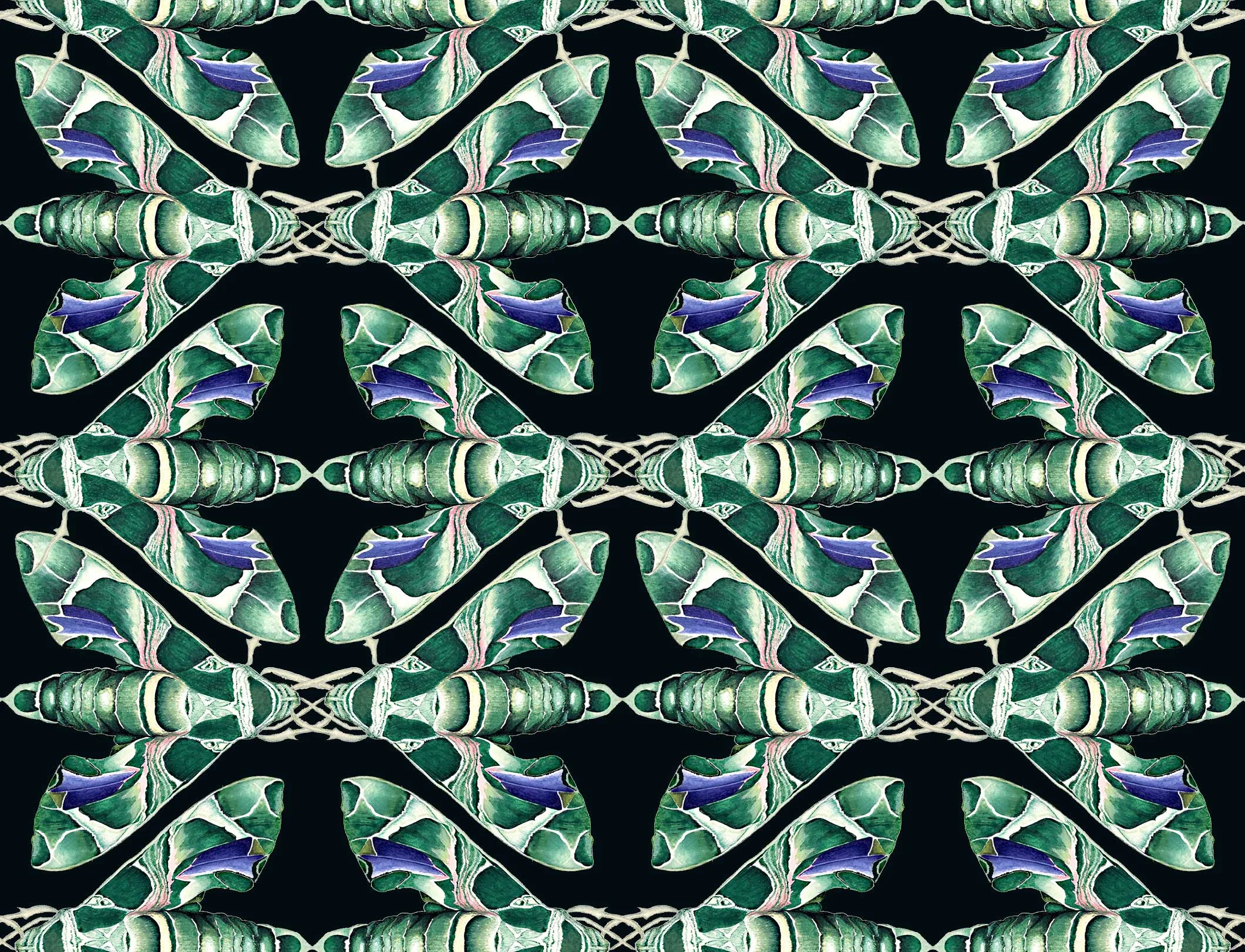 moth_on_black_detail.jpg