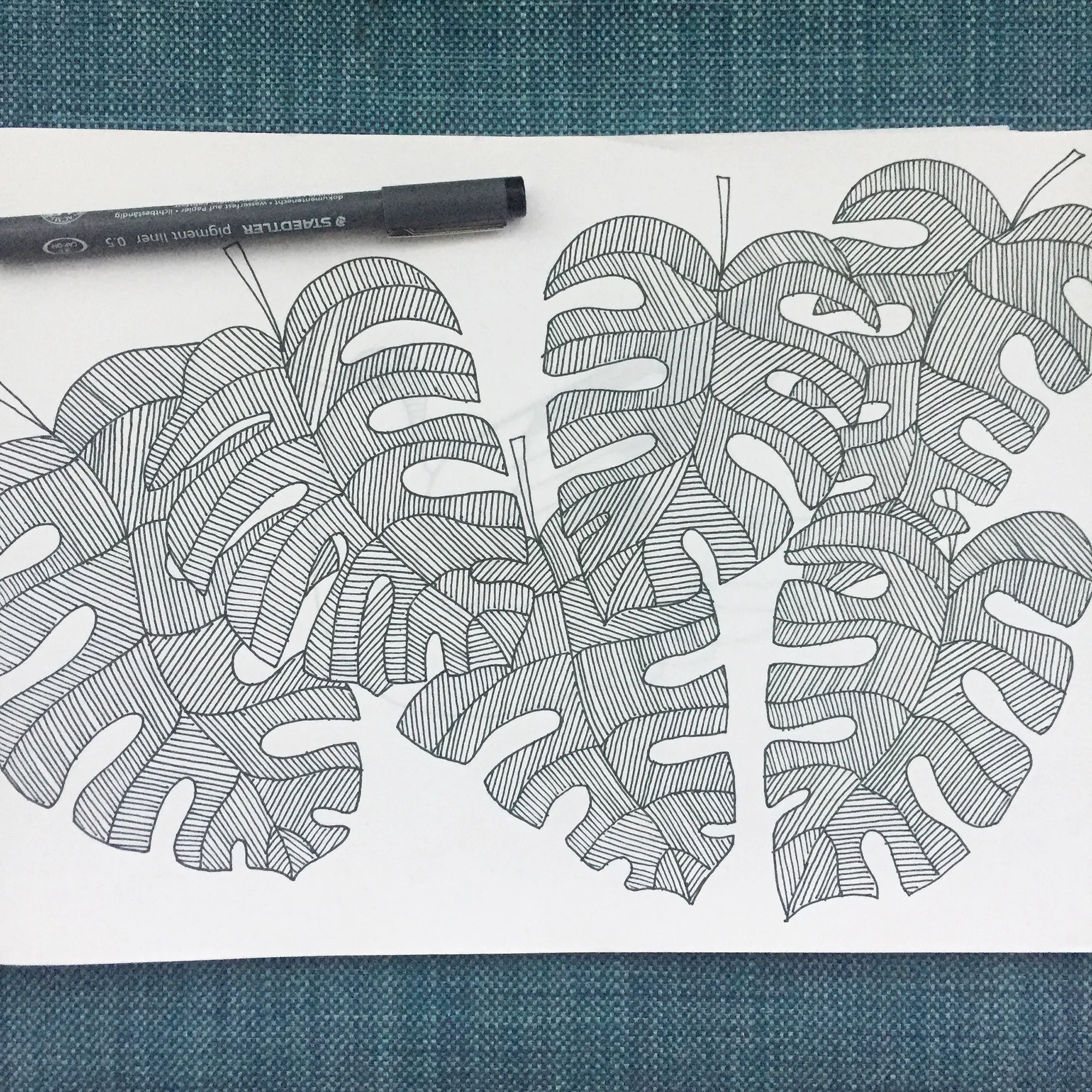 monstera.jpg