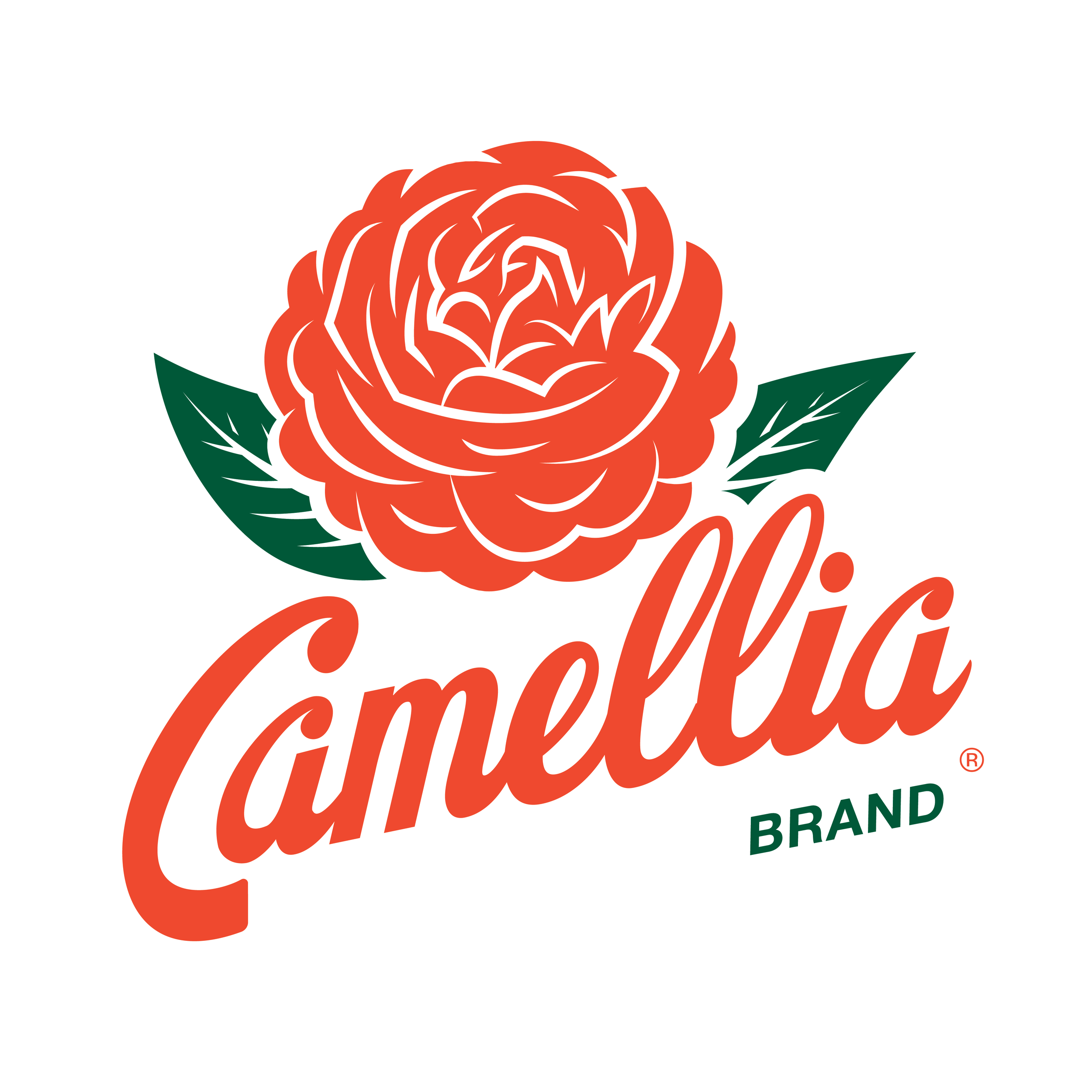 CAM_Logo-01.png