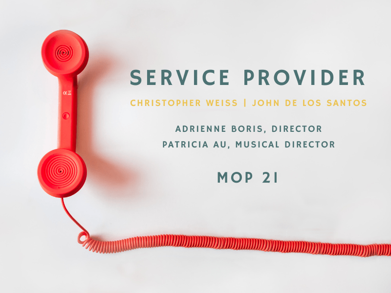 Service Provider with Helios Opera