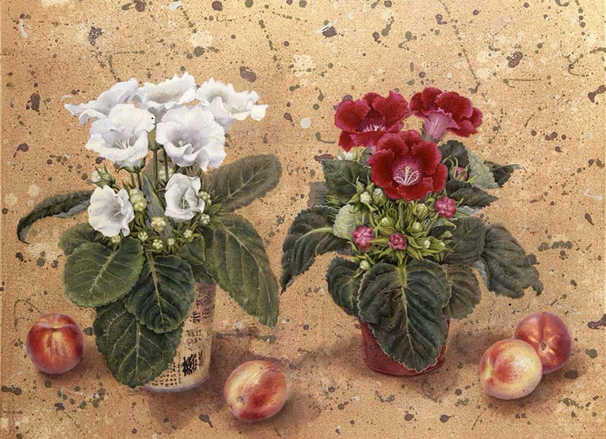 Gloxinia and Peaches