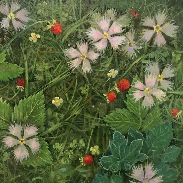 Wild strawberries