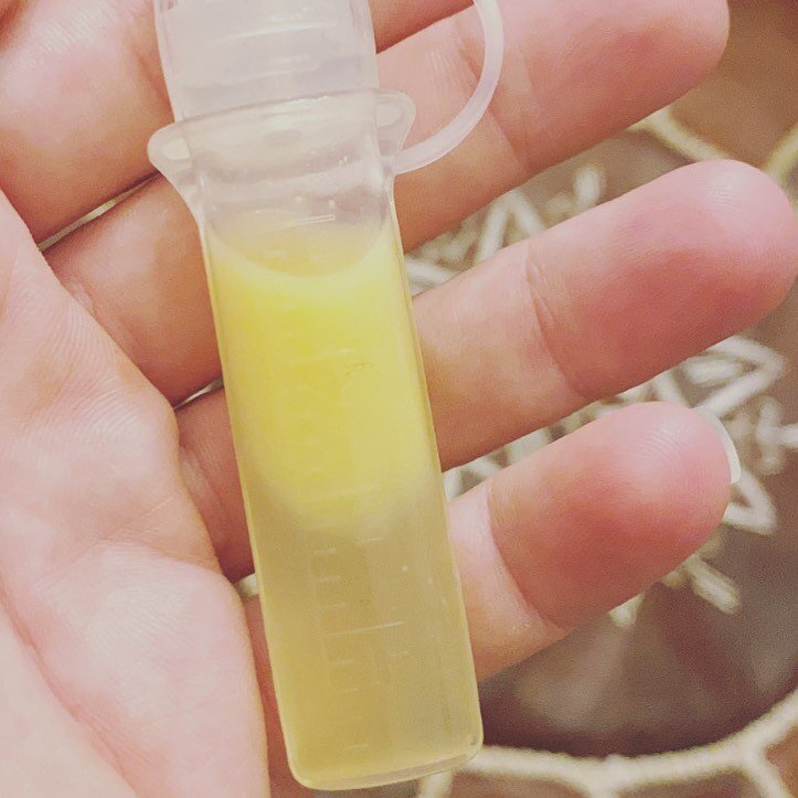 ✨Liquid Gold (from antenatal hand expression)✨ Here&rsquo;s to the coming of a new breastfeeding journey! Isla weaned May 23rd after over 3yrs of nursing. She now excitedly talks about her sibling getting breastmilk and practices hand expression tech