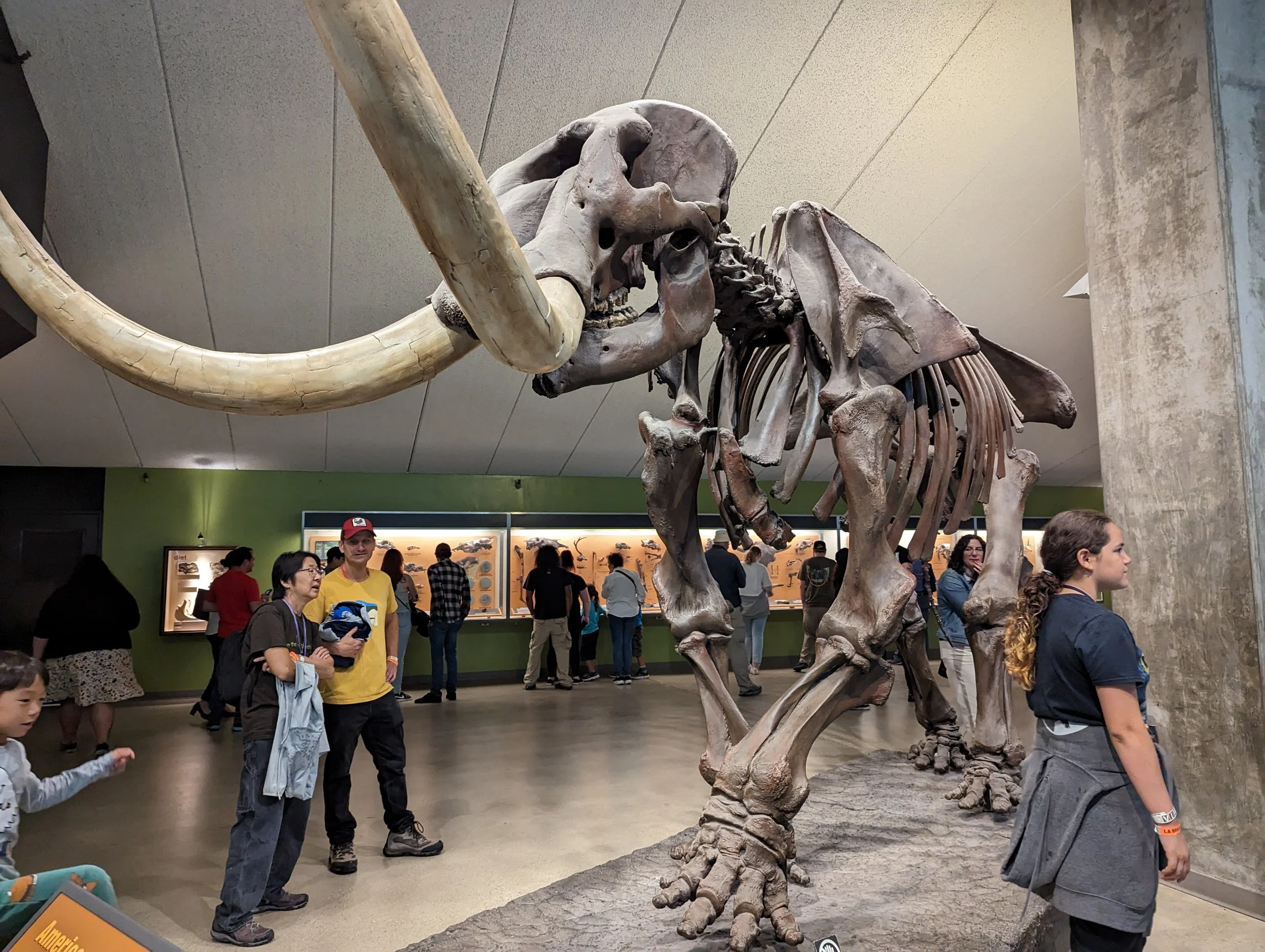 PXL_20230930_182551361.jpg