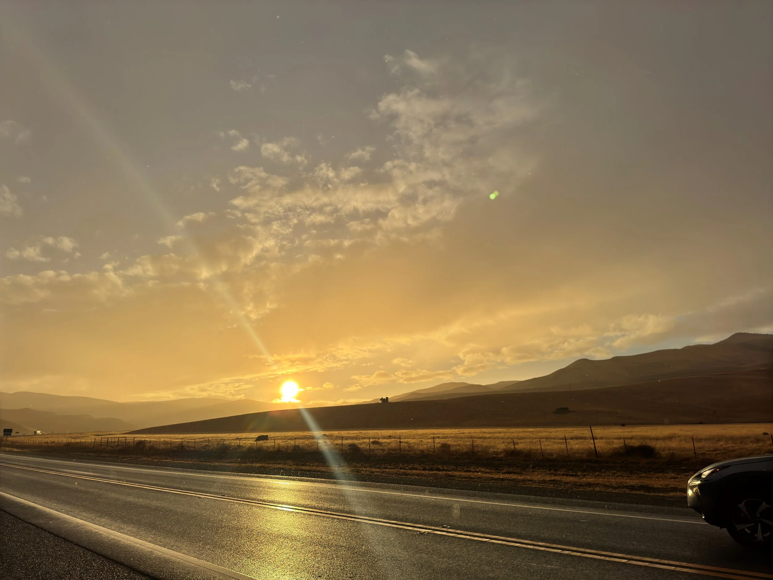 Azalea Rainbow 1.jpg