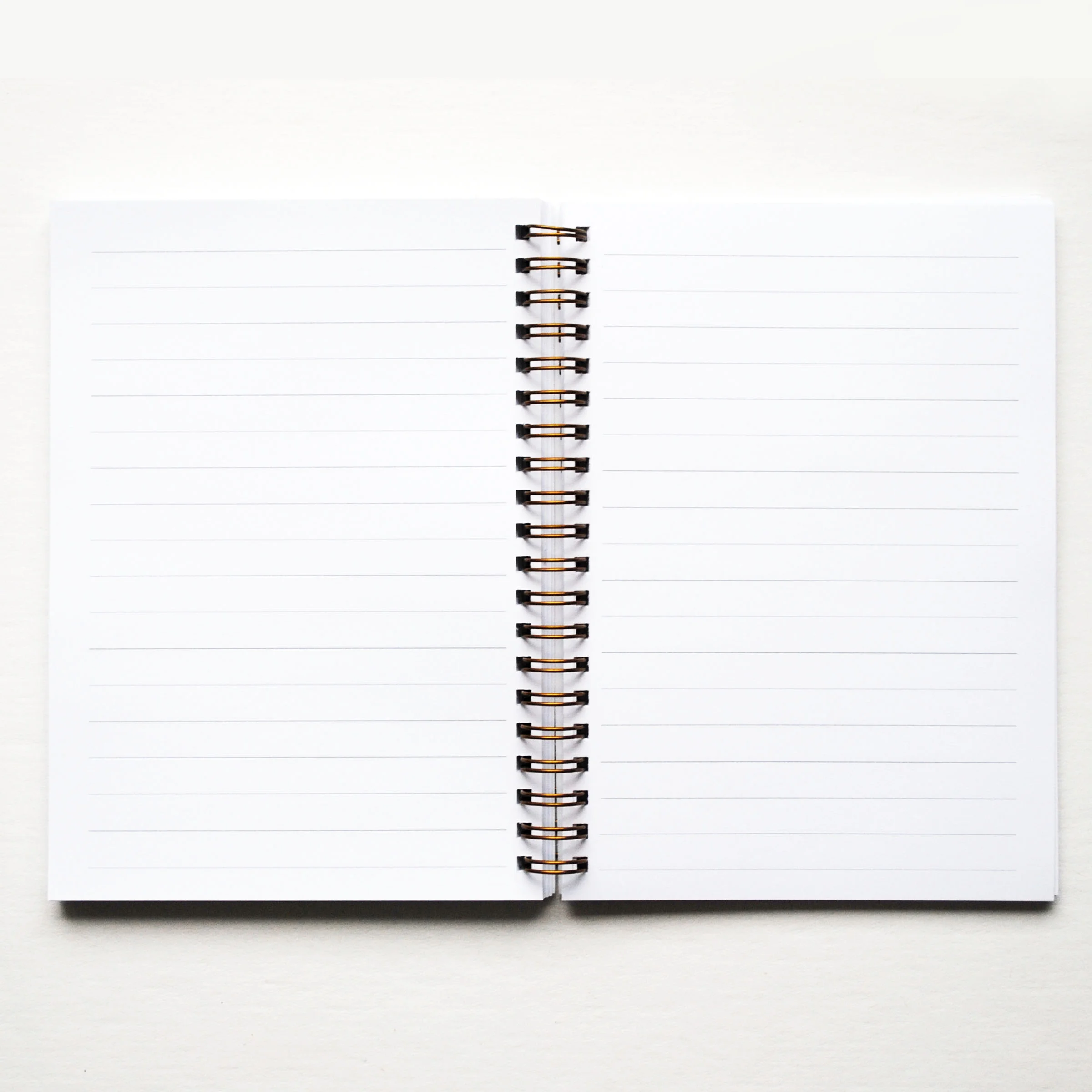 journal inside.jpg