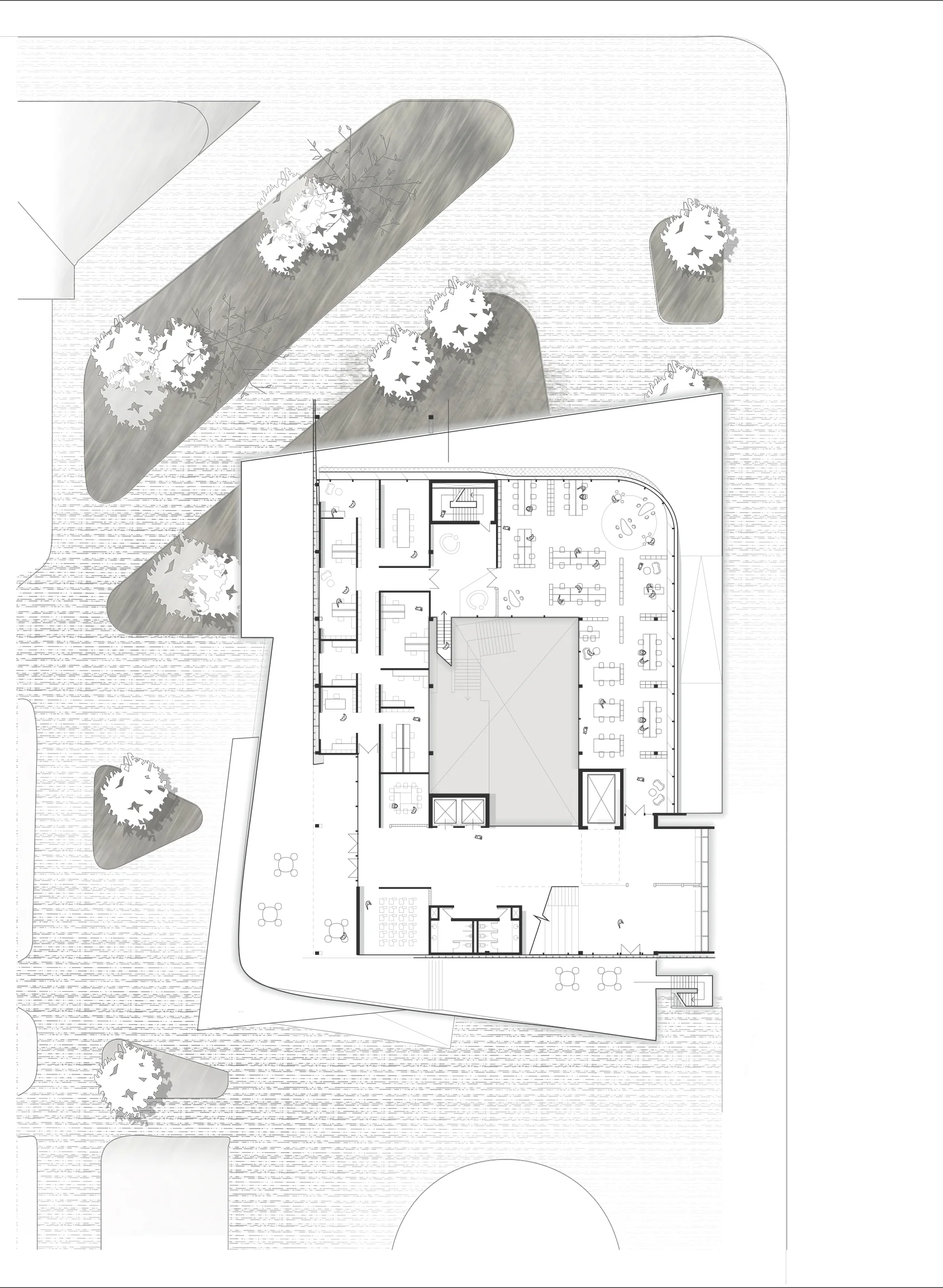 3rd Floor