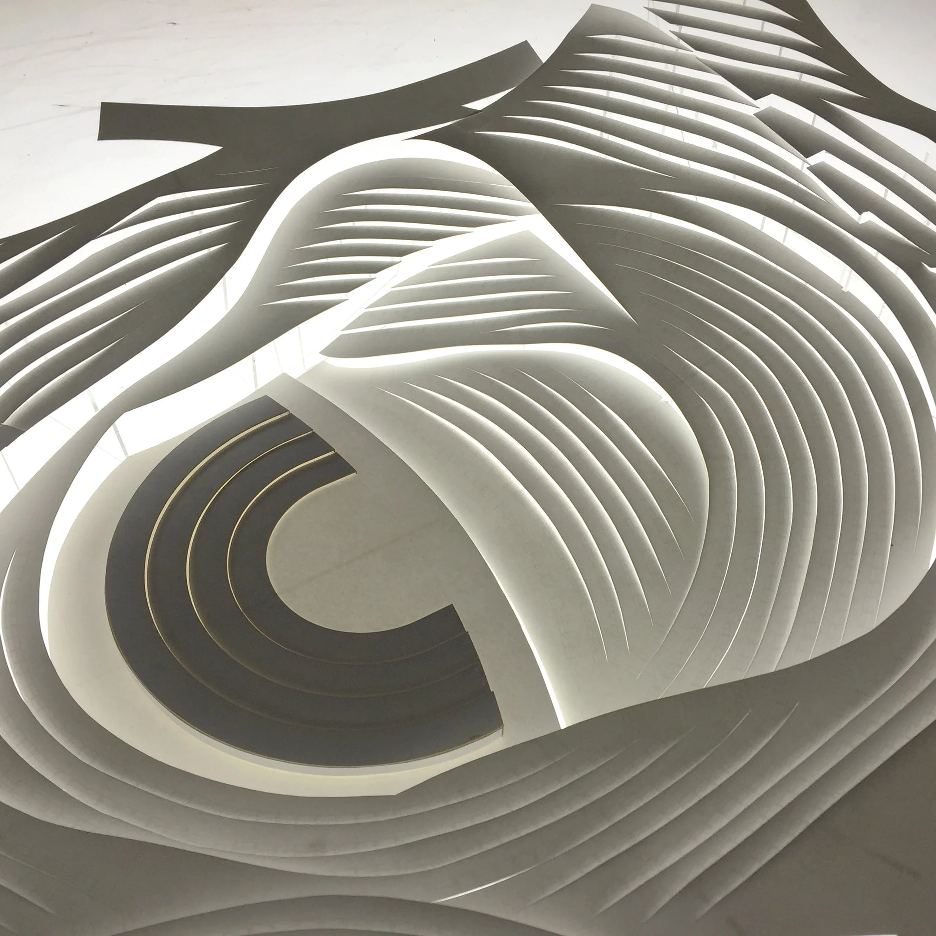 HALL_MODEL_NO PEOPLE_VIGNETTES_3033.jpg