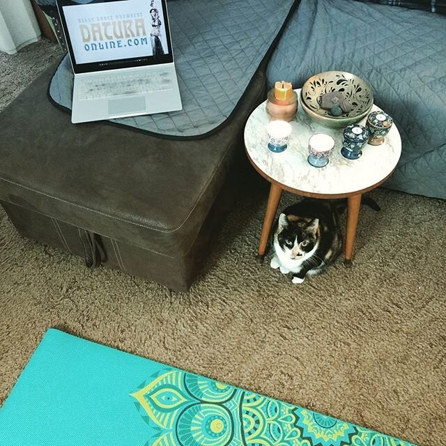 Got my candles, my computer, and my cat. Ready for Week 3, Session 1 of the @thedaturaonline &quot;On the Go&quot; program! A few of us in troupe are trying to stay consistent with personal practice in the new year.  I can say it definitely helps kee