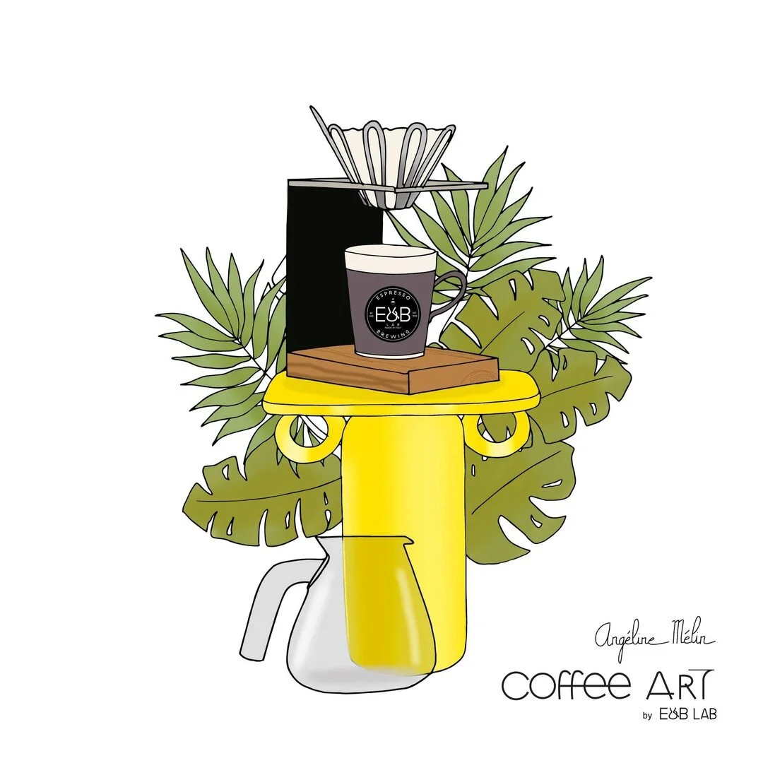 E&B Lab by IMS Competition Filtre à moka 2 tasses 4779048763166