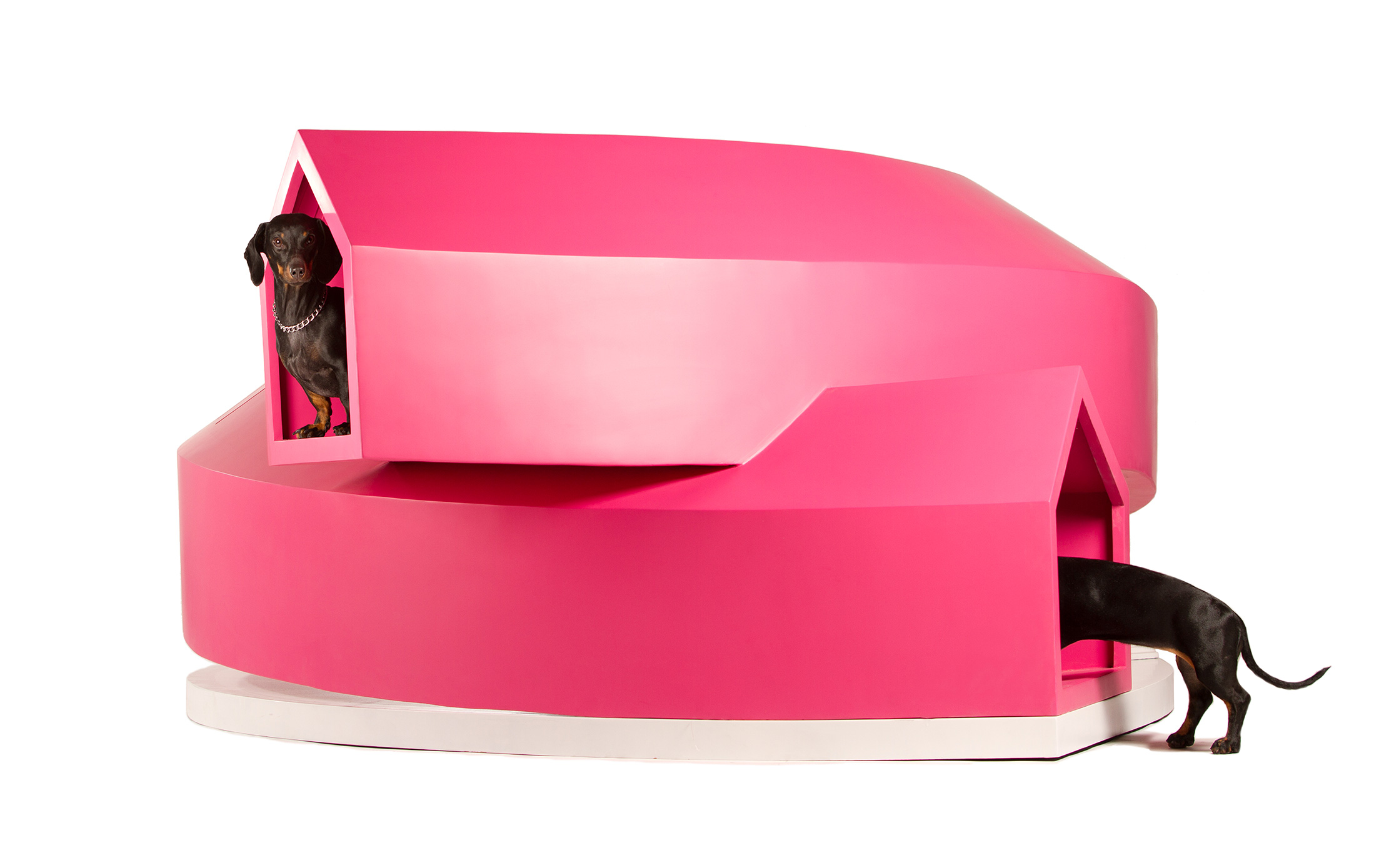 Dogchitecture