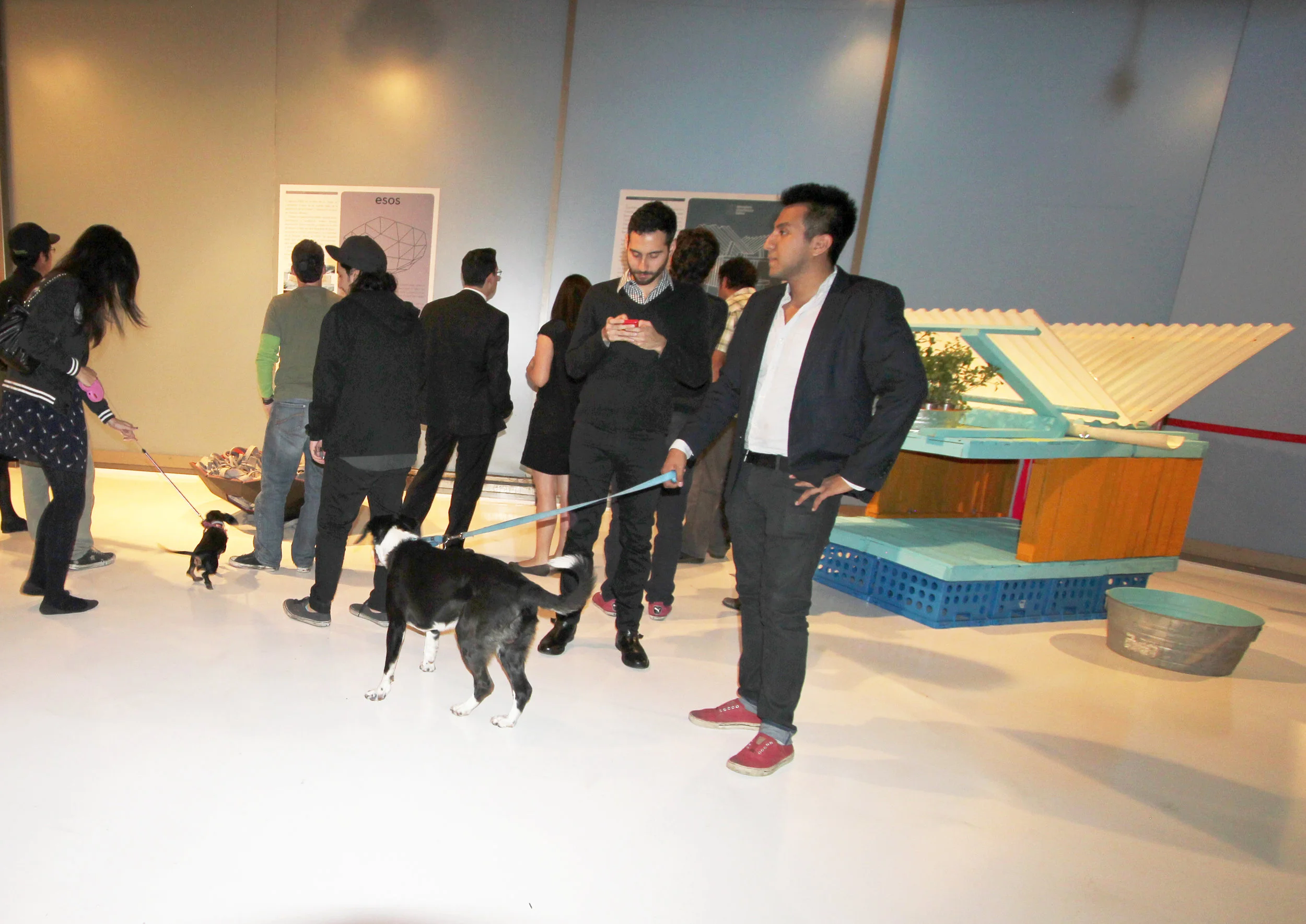 20130624_DOG_XPO_15_SSI.jpg